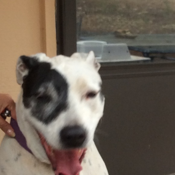 Meet your Posher, Victoria - Picture 11 of 14